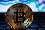 关于什么是比特币bingdu的信息