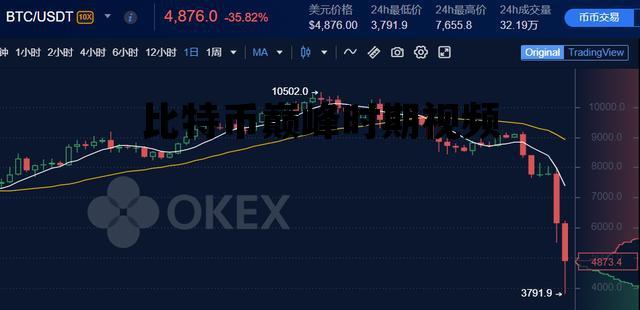比特币巅峰时期视频，比特币历程视频