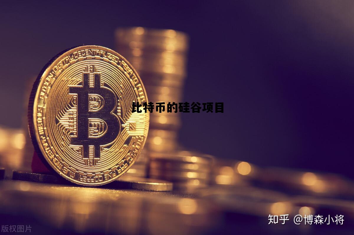 比特币的硅谷项目，比特币的硅谷项目是什么