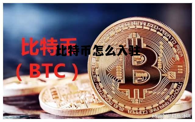 比特币怎么入驻，怎么进入比特币圈子