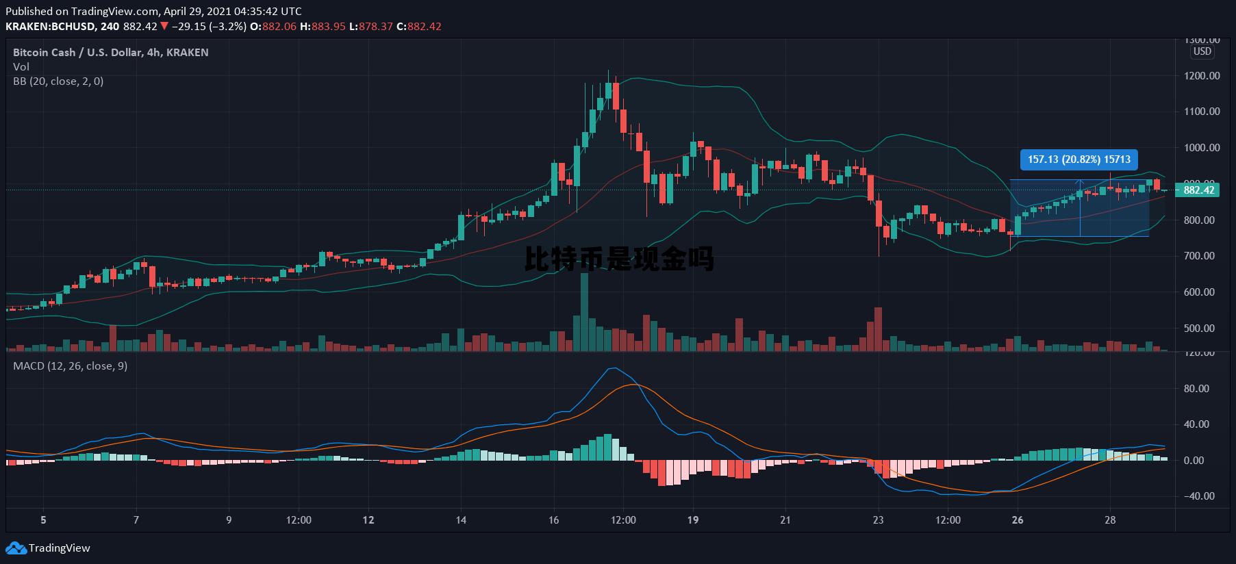 比特币是现金吗，比特币现金是什么币