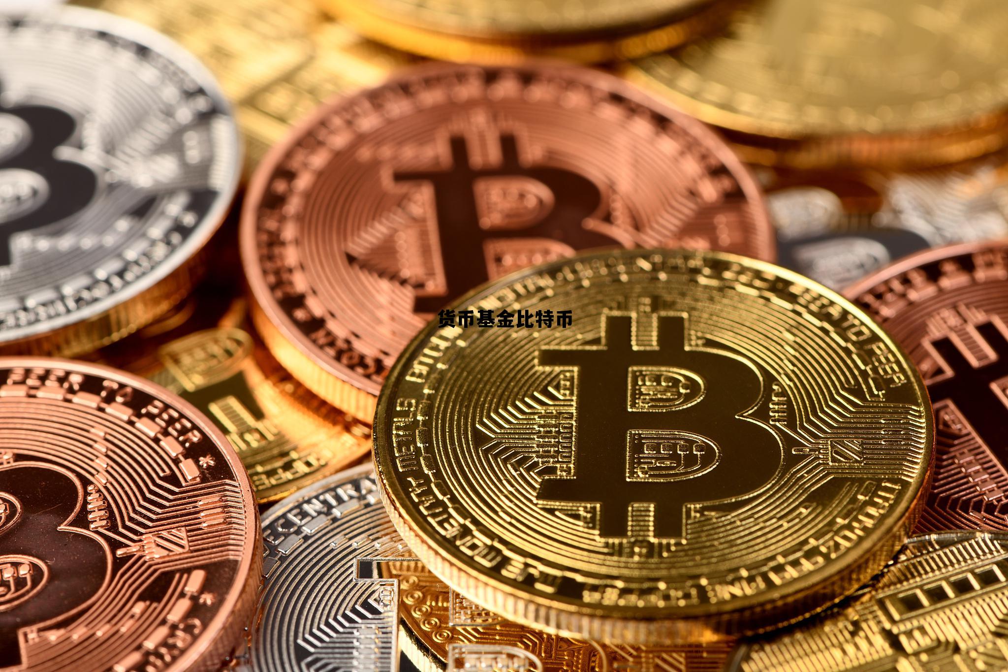 货币基金比特币，比特币和基金哪个风险高