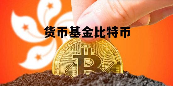 货币基金比特币，比特币和基金哪个风险高